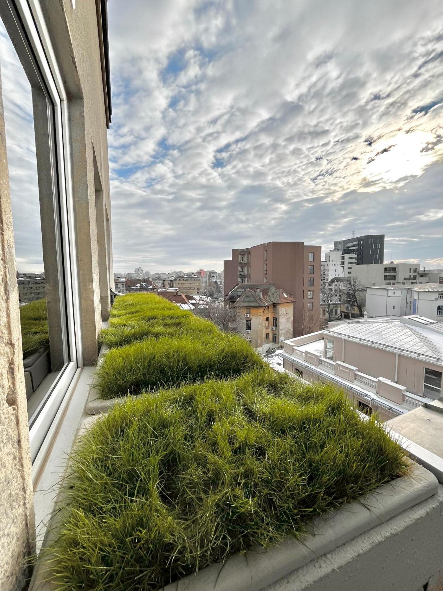 Terrace View Downtown Studio Bucureşti Eksteriør bilde