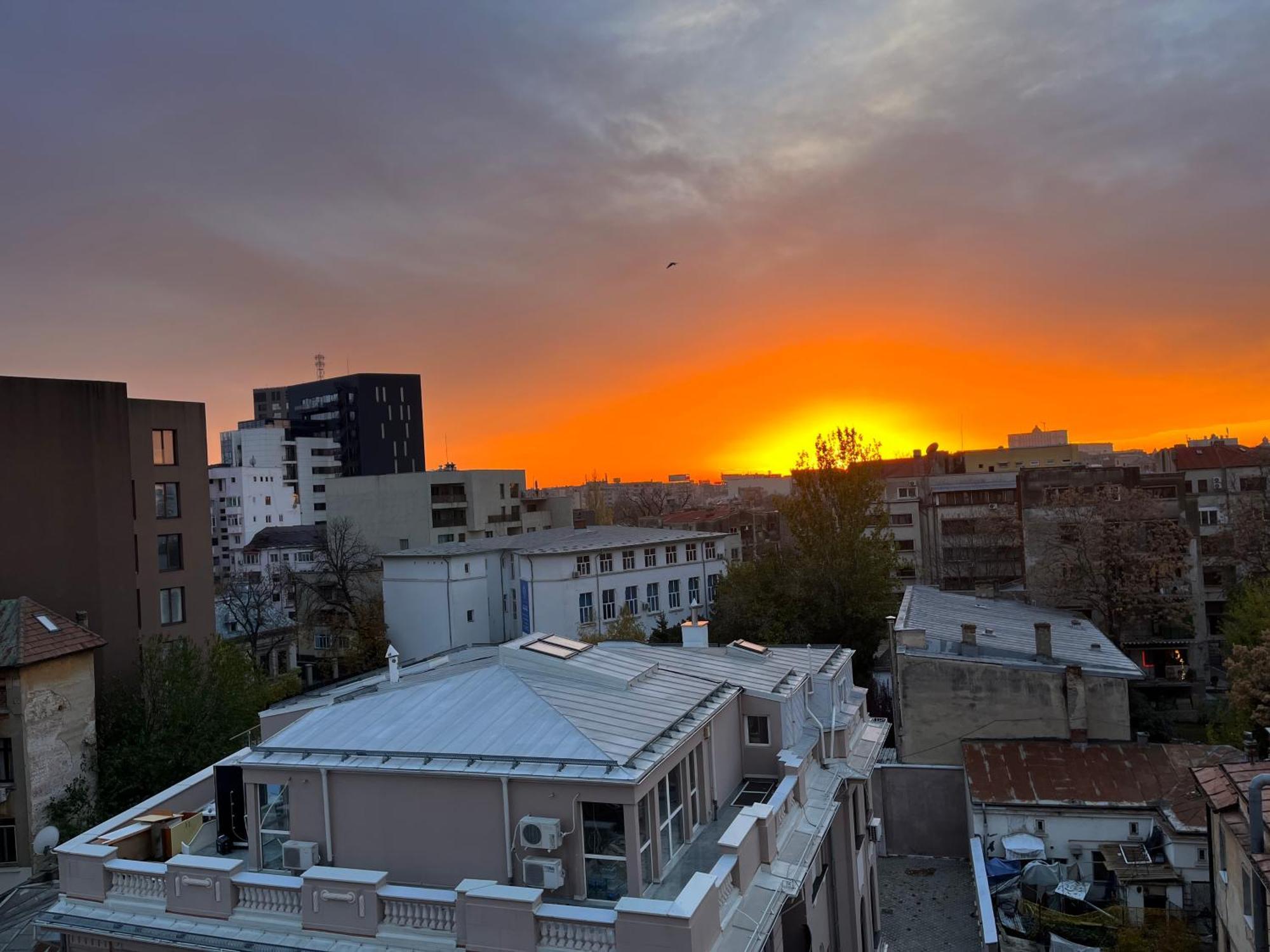 Terrace View Downtown Studio Bucureşti Eksteriør bilde